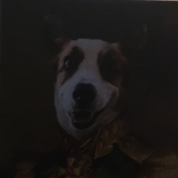 Meet your Posher, Cindy - Picture 1 of 1